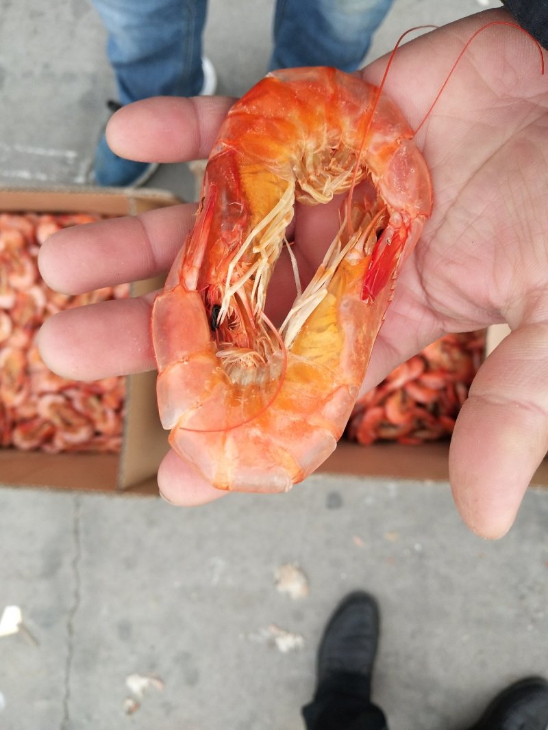 虾干，对虾，烘干虾，烤虾