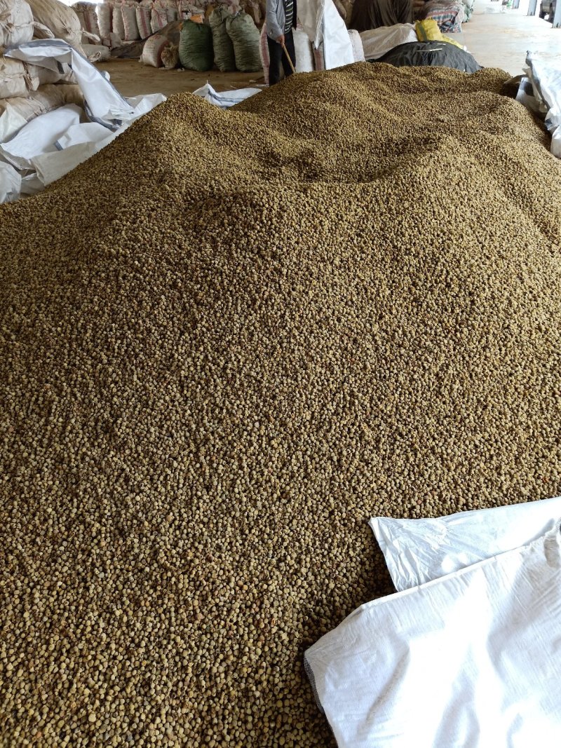 掌叶覆盆子野草莓根发苗粗壮挂果快产量可以