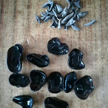 东北大地头茬黑木耳，各种规格齐全，0.8-1.0-1.5
