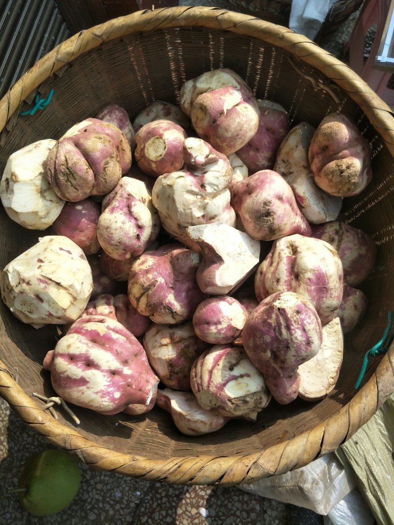红薯粉