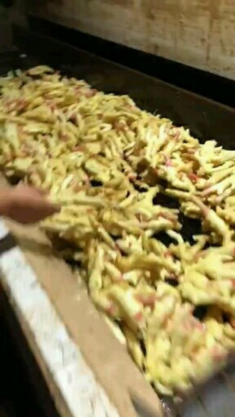 姜种山东姜种批发发芽率高传授技术专业指导跟踪服务