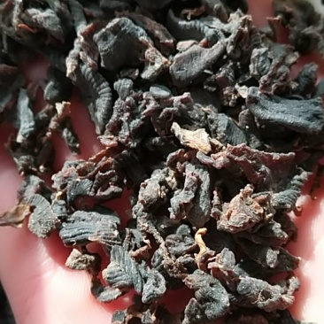 水蛭，碎水蛭，中药材水蛭