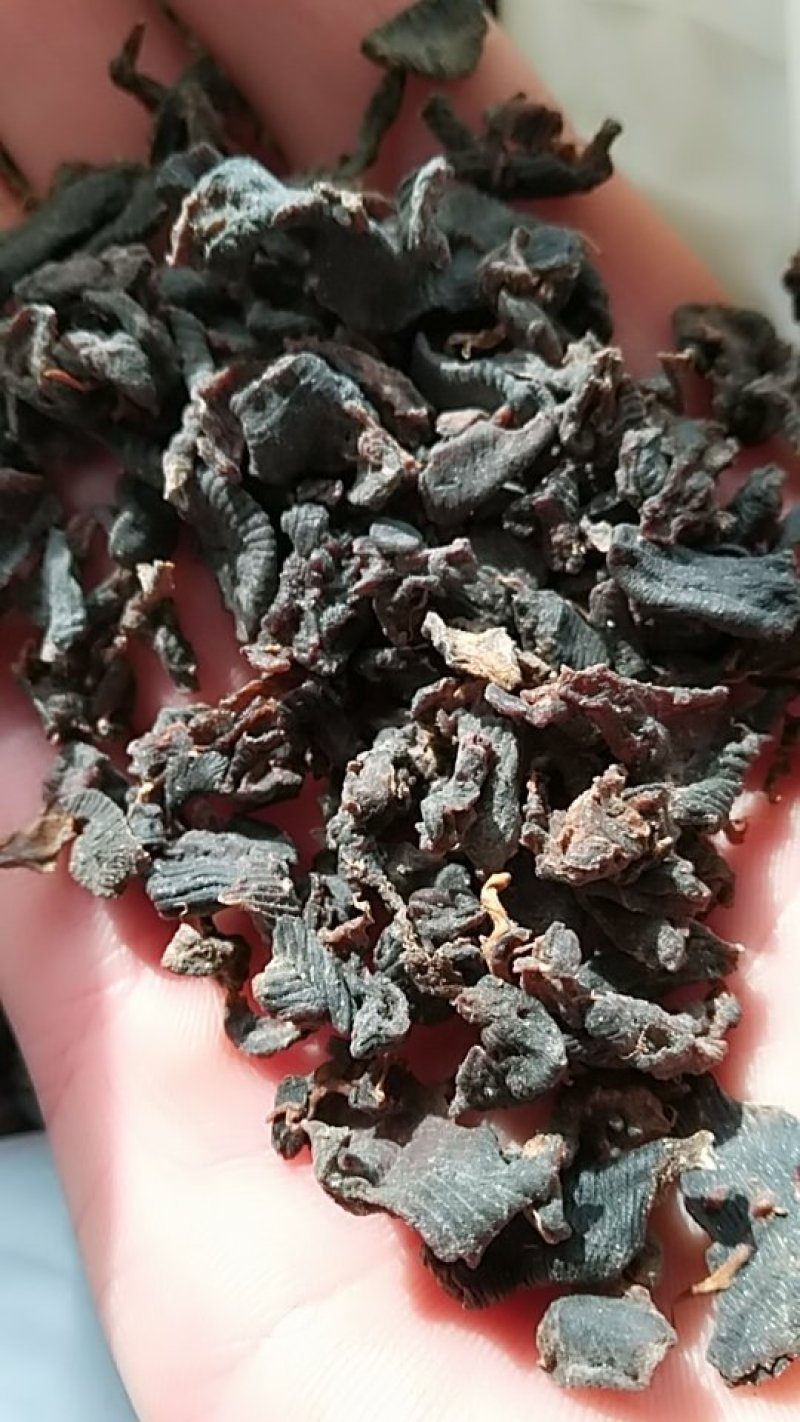 水蛭，碎水蛭，中药材水蛭