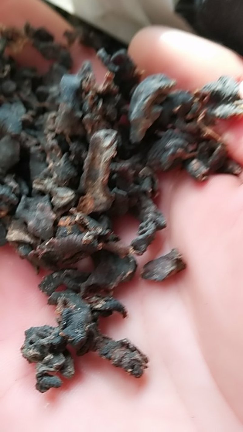 水蛭，碎水蛭，中药材水蛭