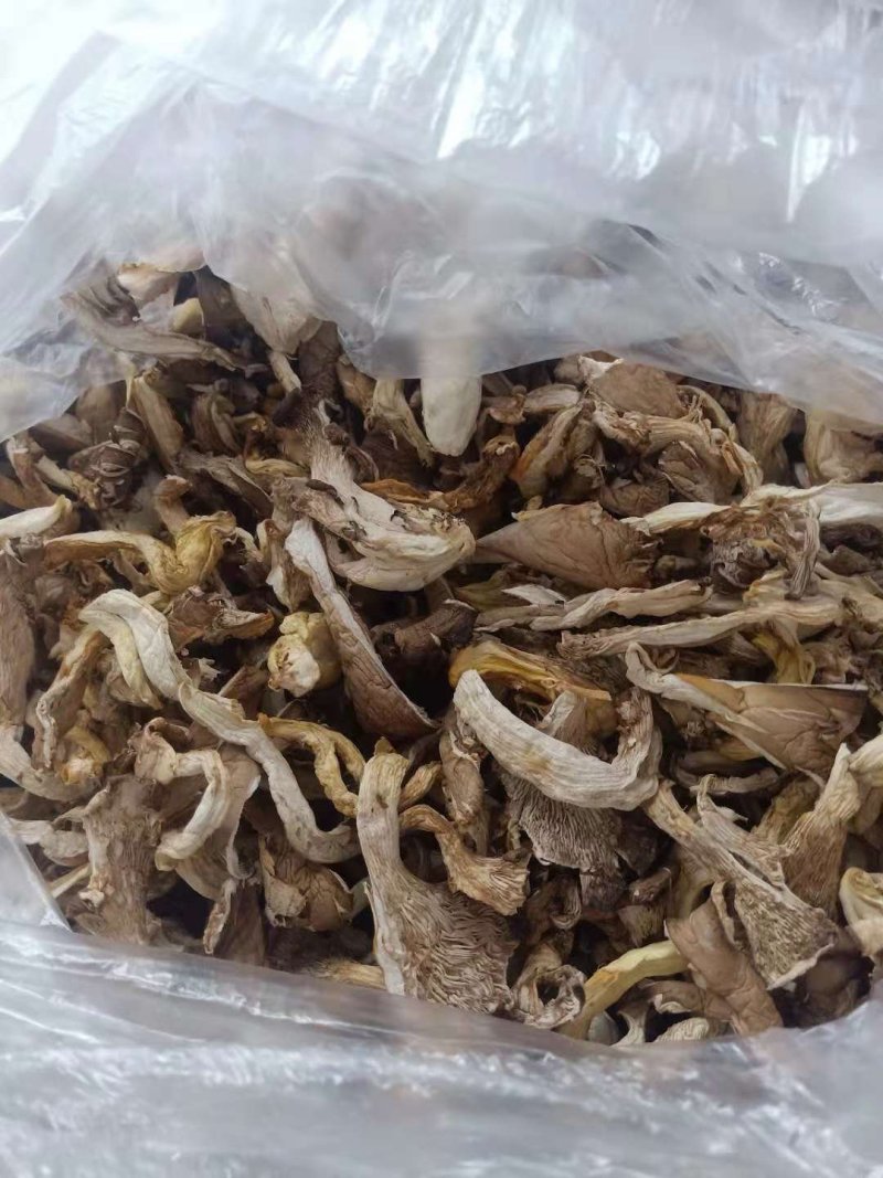 平菇干货