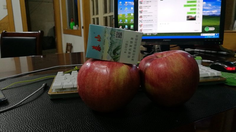 黑桃苗黑桃树苗自产自销先挖先卖死苗补发
