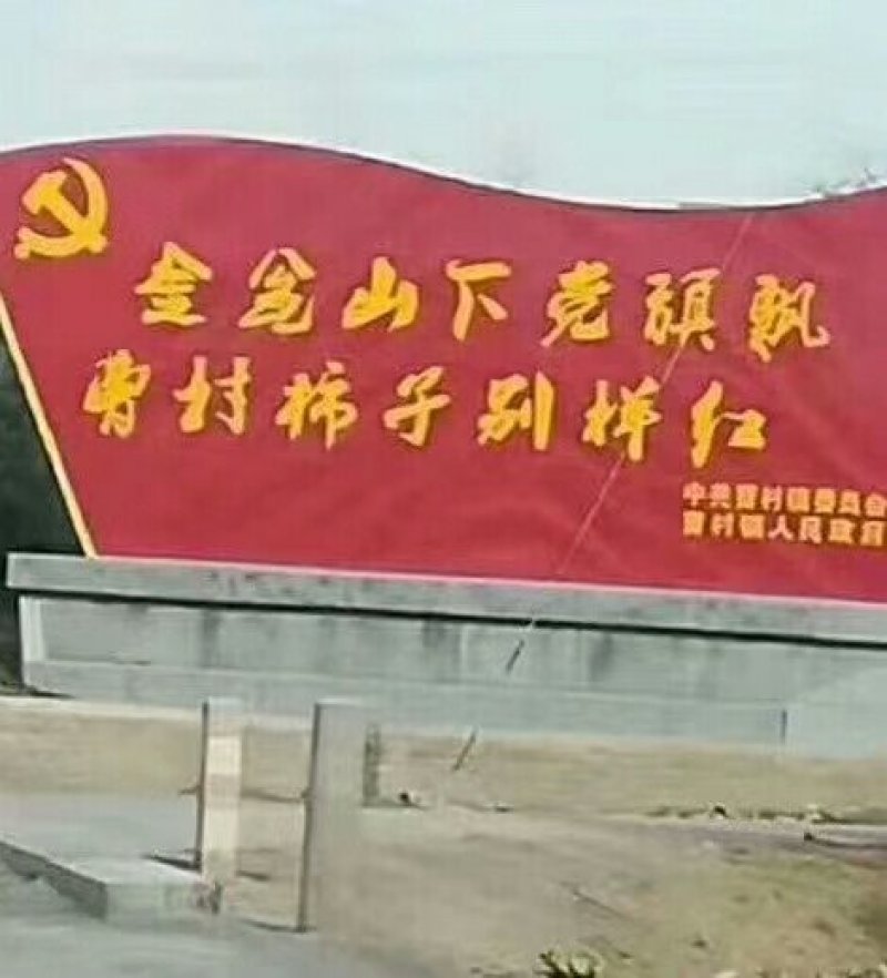 富平柿饼