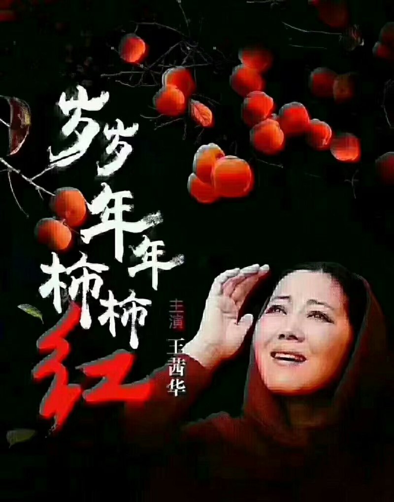 富平柿饼