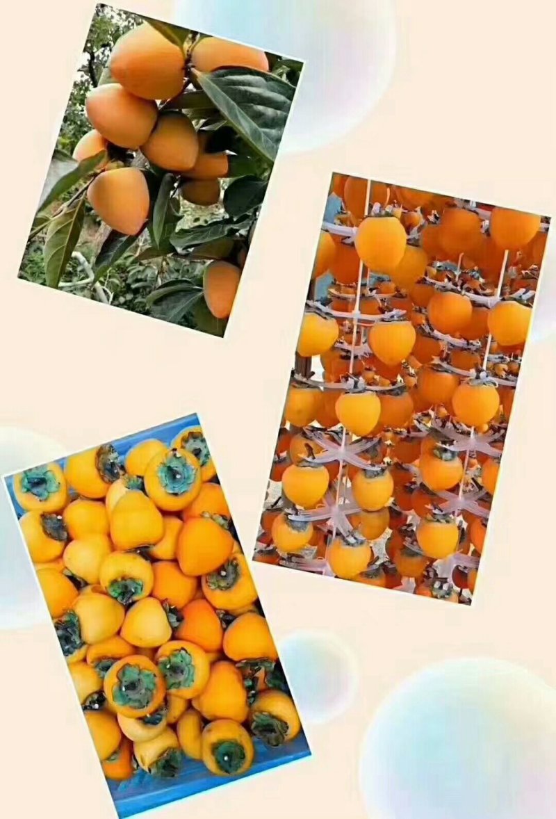 富平柿饼