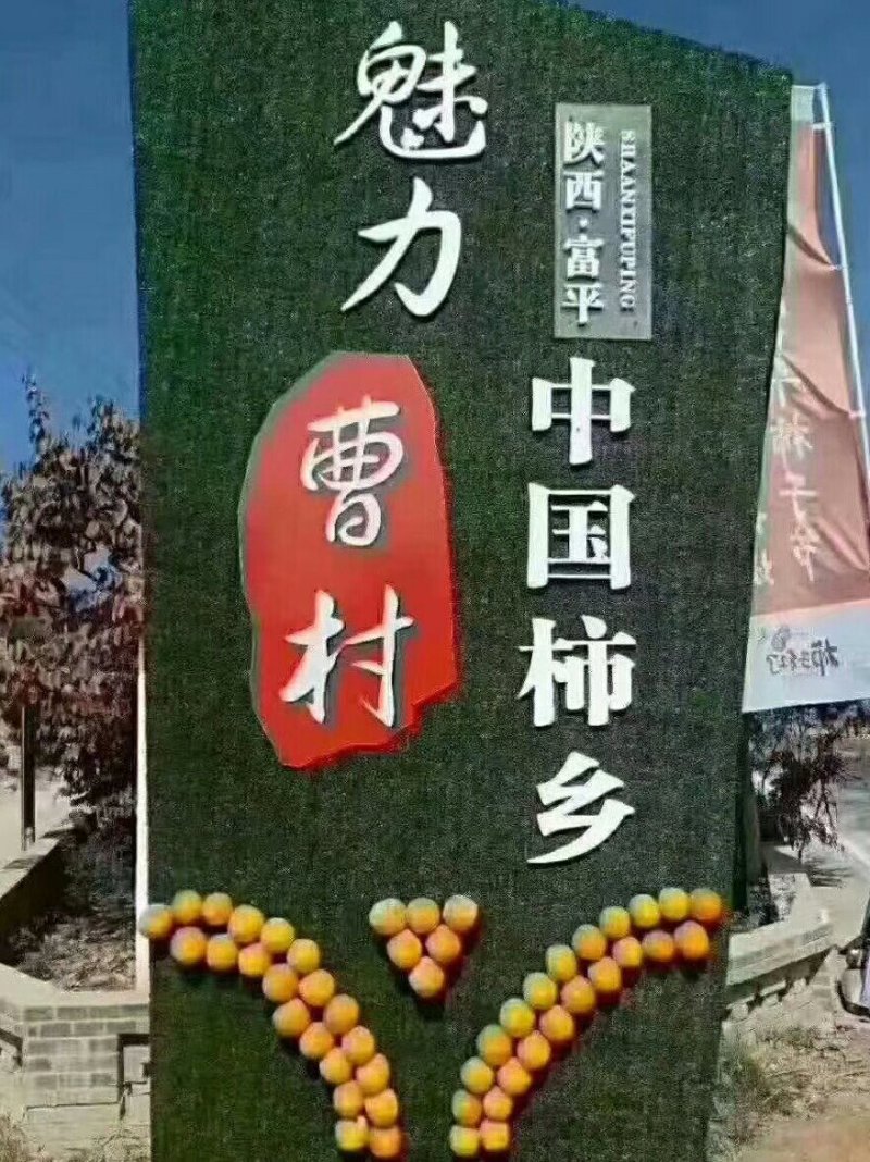 富平柿饼