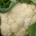 有机花菜无公害绿色食品