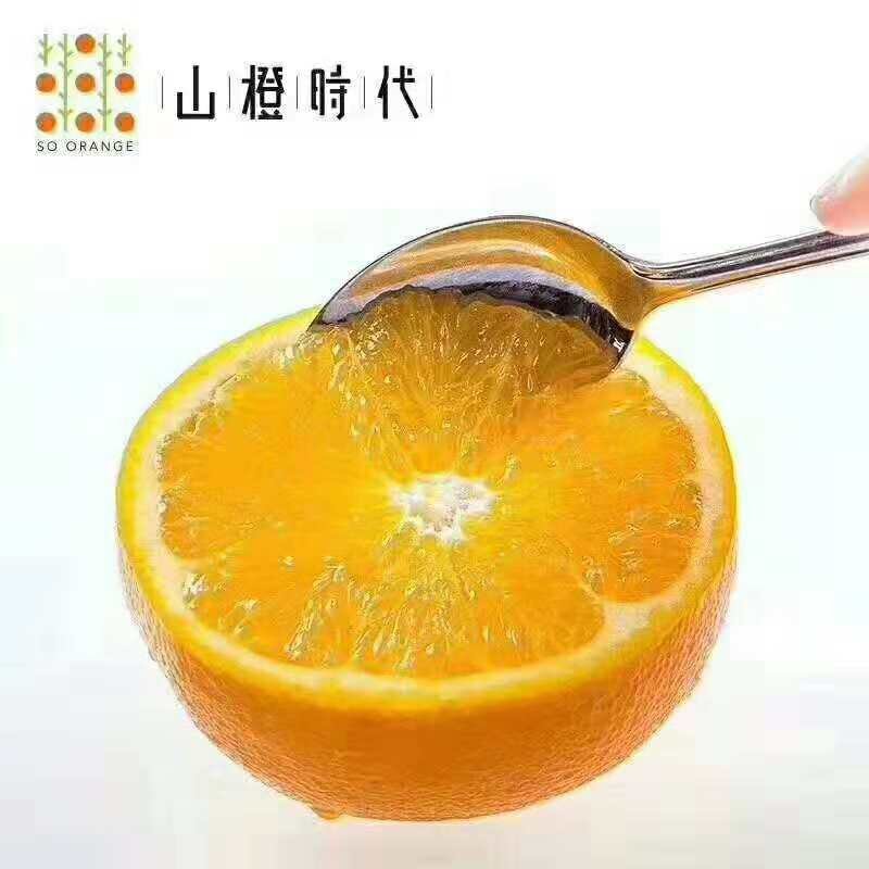 奉节脐橙～纯甜纽荷尔65-100，甜带香味的