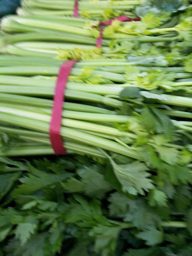 芹菜