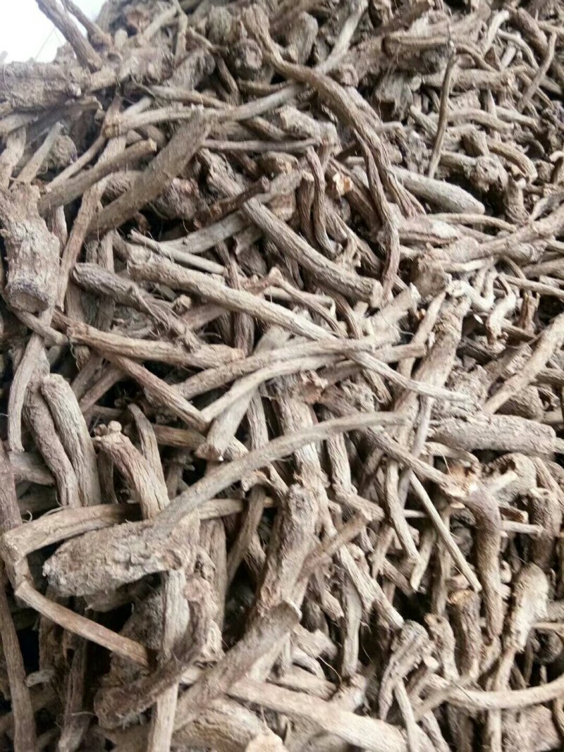 木香
