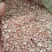 玉米芯颗粒食用菌,食用菌料玉米芯,白色芯袋装，红色玉米芯