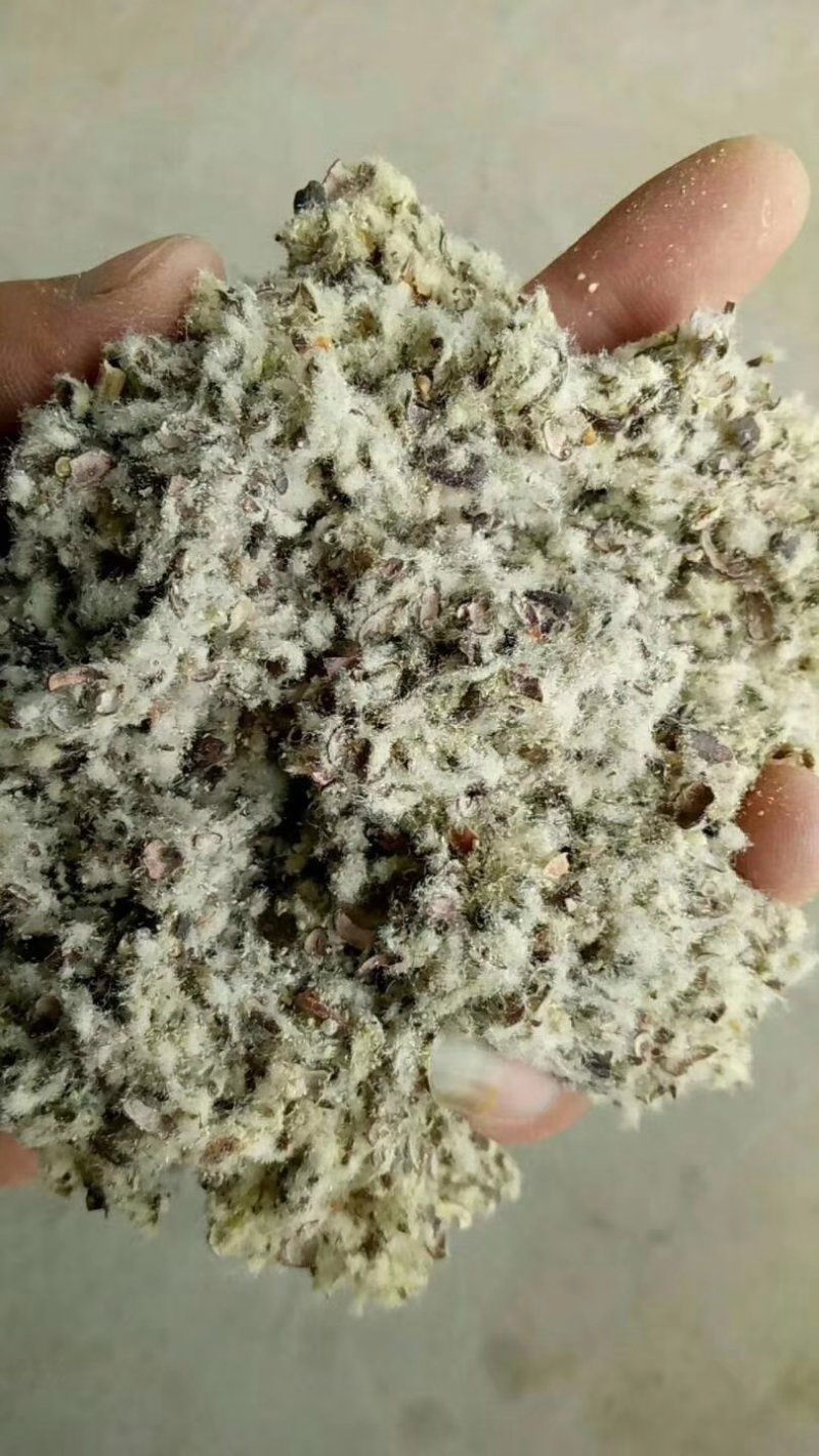 新疆小壳长绒棉子皮磨盘含油粉棉籽皮种植蘑菇茶树菇,棉籽壳