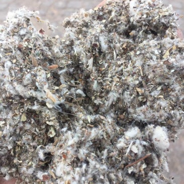 草菇栽培专用棉渣,湖南棉渣,四川棉渣,重庆棉渣,废棉菌种