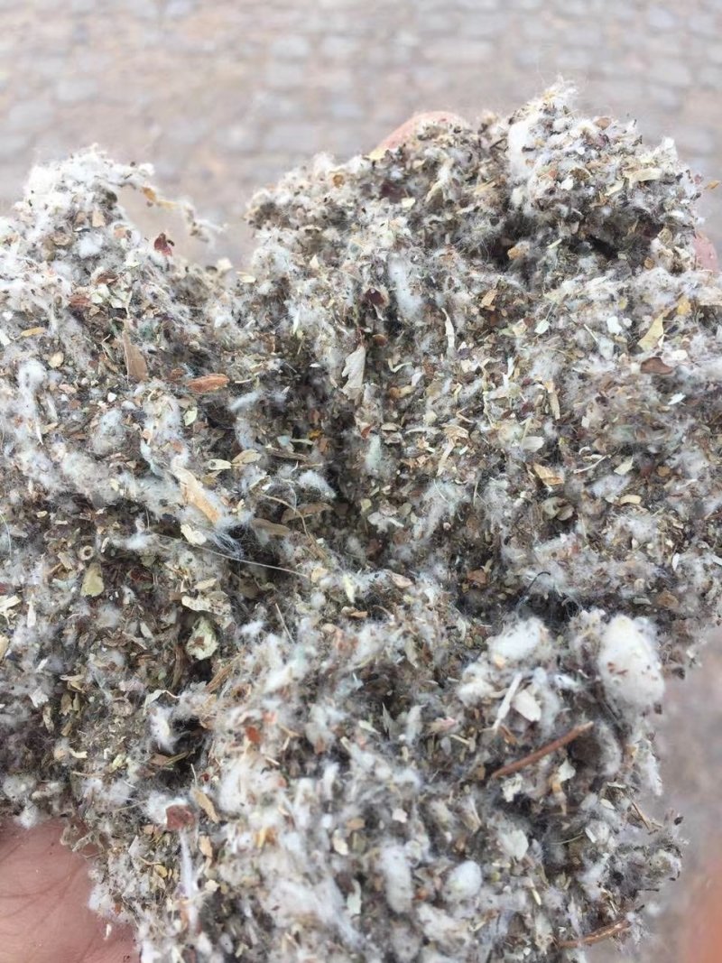 草菇栽培专用棉渣,湖南棉渣,四川棉渣,重庆棉渣,废棉菌种