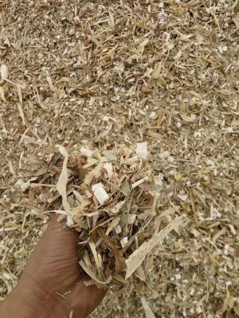 揉丝碎草玉米秸秆牛羊干饲料,玉米秸秆青储饲料,牧草青贮发