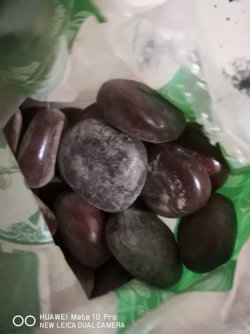 过江龙子云南干货经营各种品质中药材