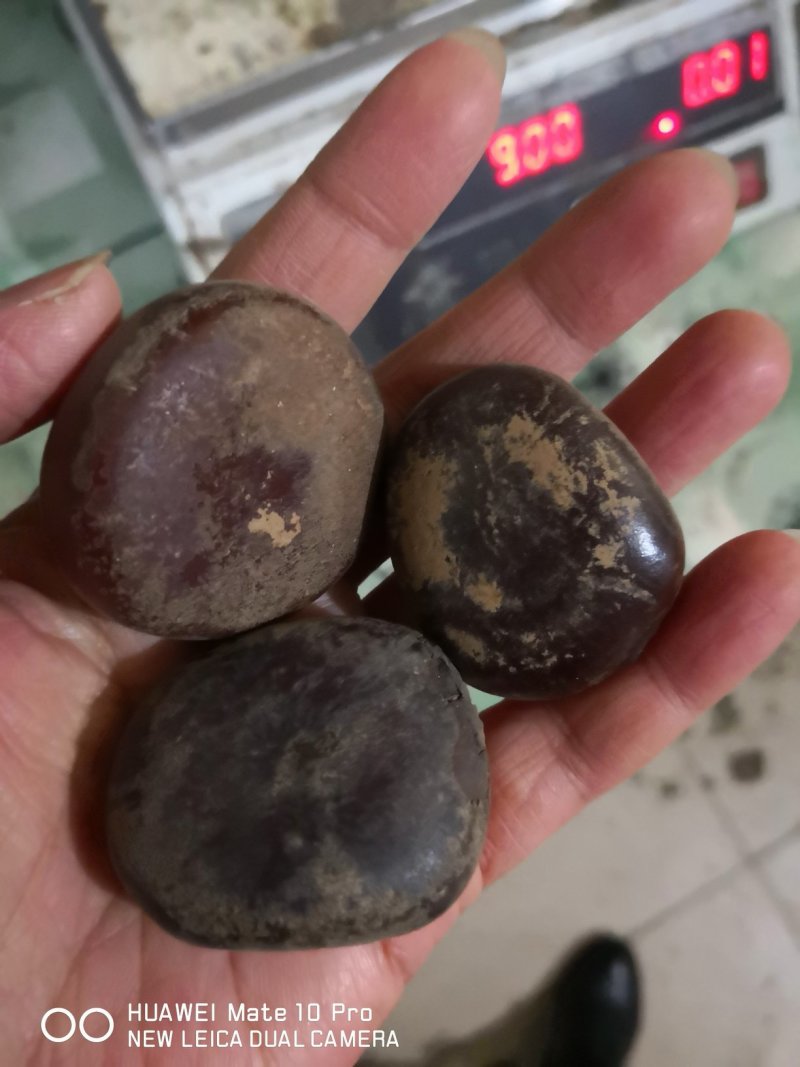 过江龙子云南干货经营各种品质中药材