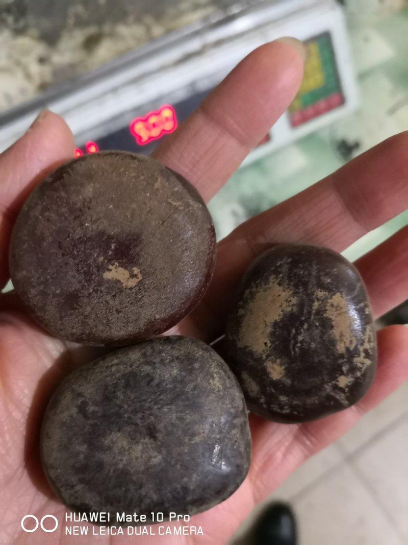 过江龙子云南干货经营各种品质中药材