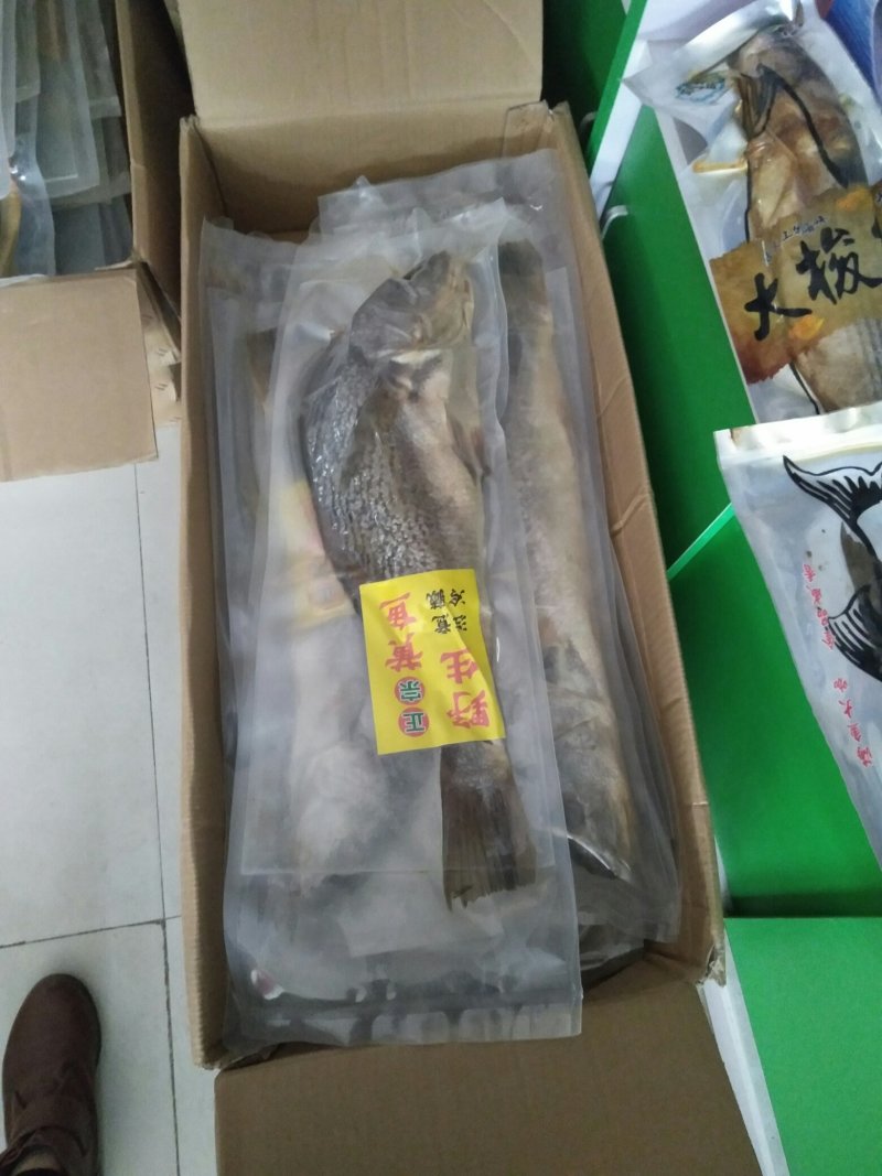 大海鱼