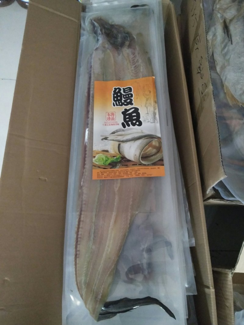大海鱼