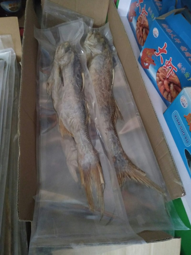 大海鱼