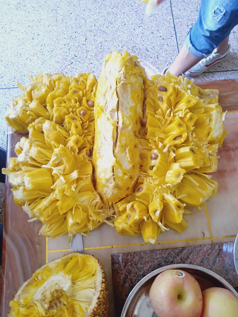 菠萝蜜