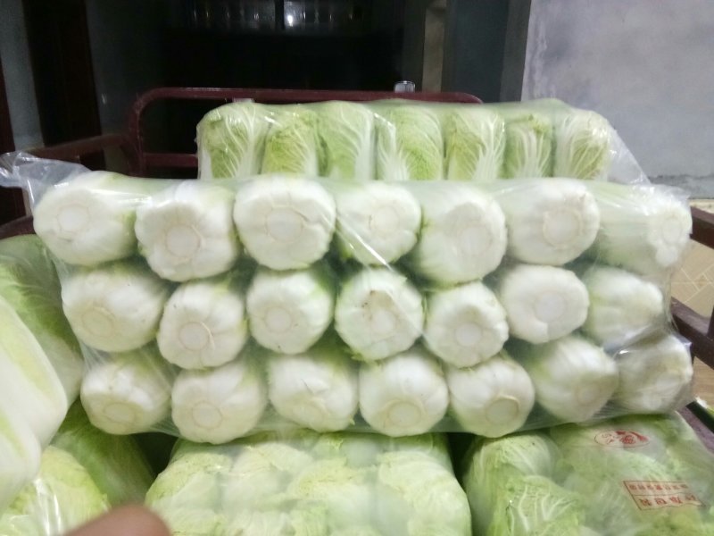 精品娃娃菜香脆可口小包大包都有欢迎订购保证质量