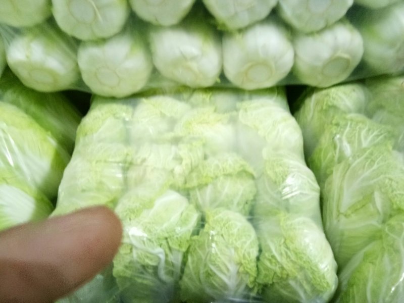 精品娃娃菜香脆可口小包大包都有欢迎订购保证质量