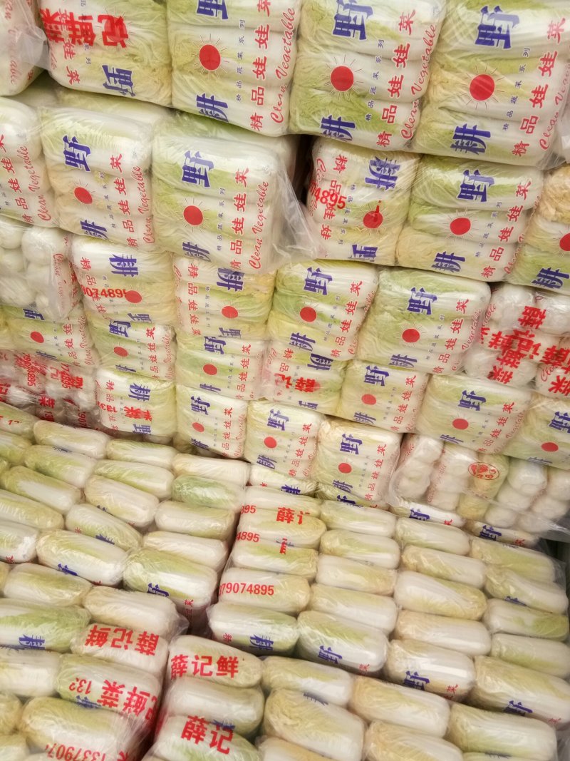 精品娃娃菜香脆可口小包大包都有欢迎订购保证质量