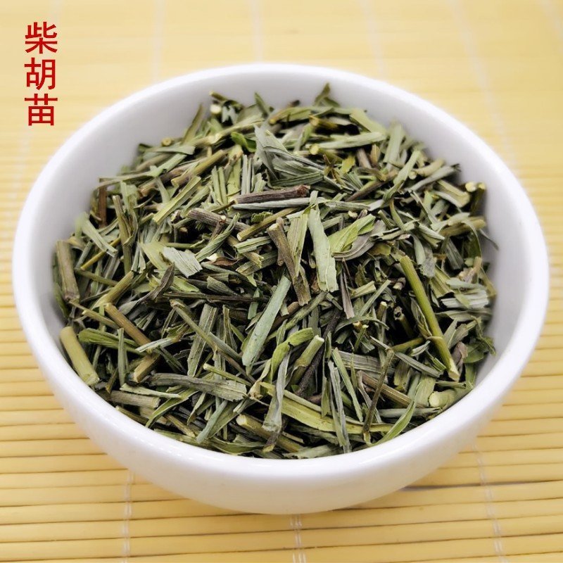 柴胡苗原产地内蒙