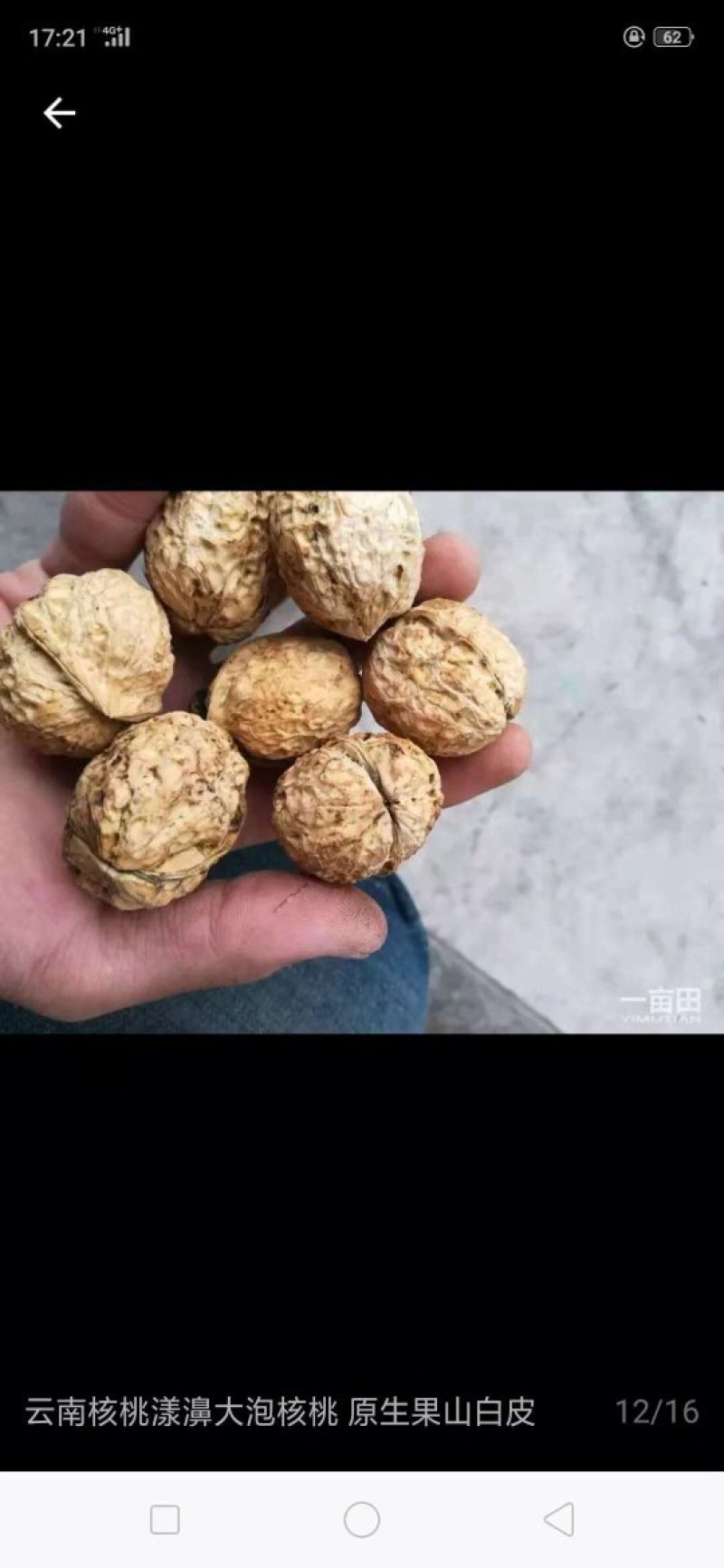 核桃仁