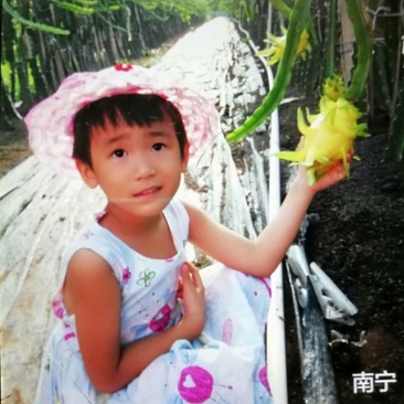 靓丽大黄龙