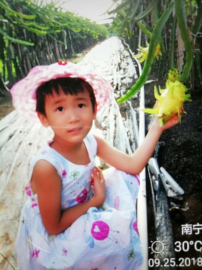 靓丽大黄龙