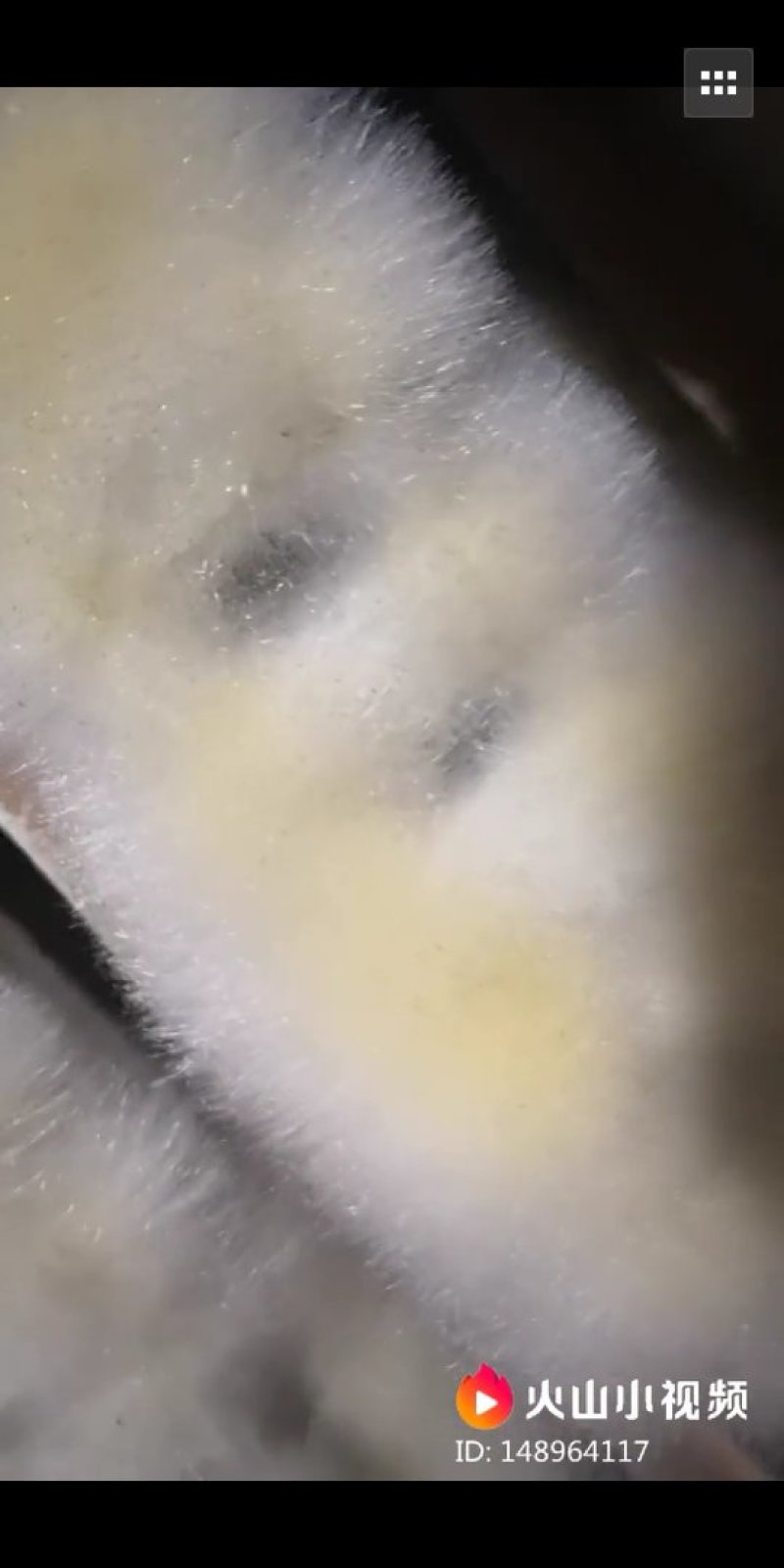 臭豆腐手工臭豆腐纯天然臭豆腐东北臭豆腐