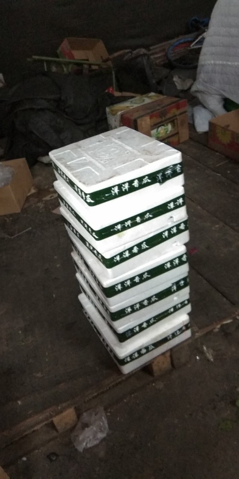 成品青枣