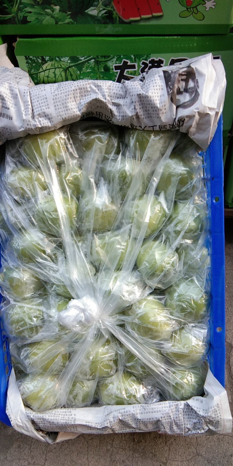 成品青枣