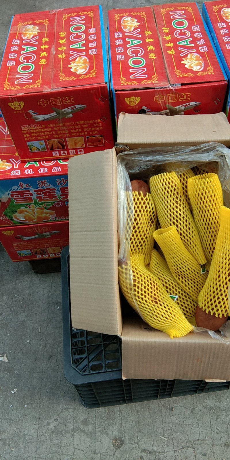 成品青枣