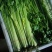 江苏精品芹菜50公分以上大量上市
