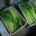 江苏精品芹菜50公分以上大量上市