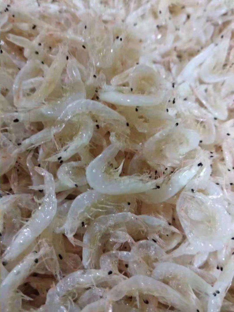 特级无盐虾皮