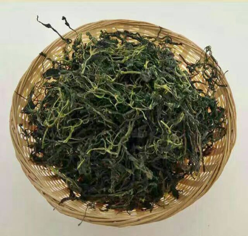珍叶苦菜
