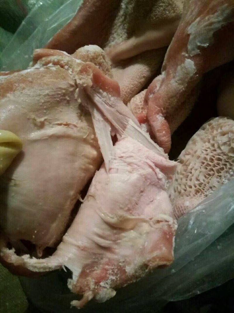 牛肚