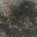 红枫树规格齐全