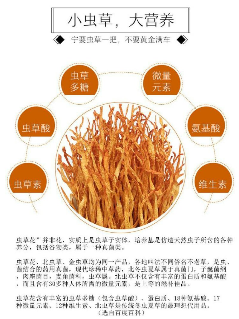 【卷草】李大人村，优选虫草花【中粗带头卷草】金黄靓货……