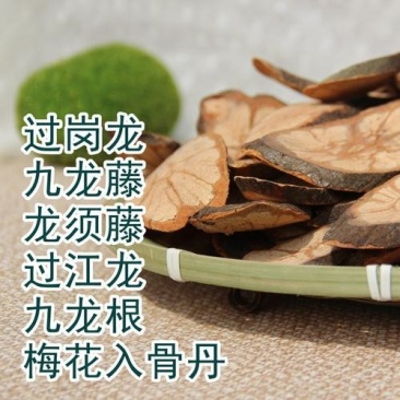 九龙藤过岗龙龙须藤批发零售冷背中药材