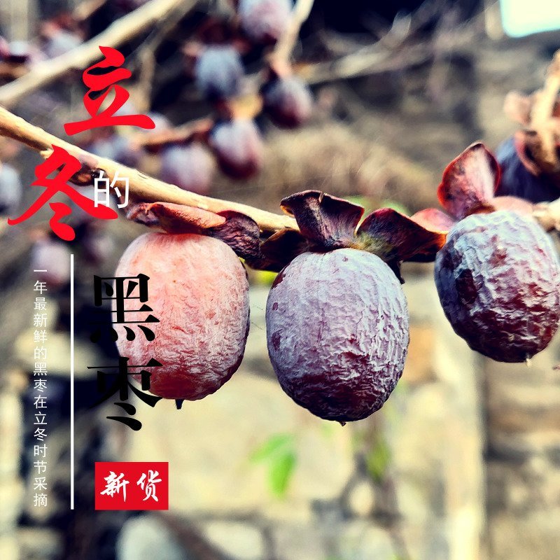 太行山野生老树无核黑枣